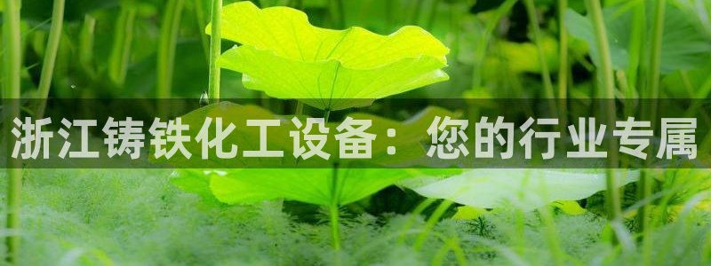 门徒娱乐官网下载