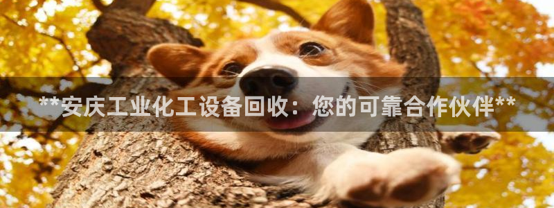 门徒娱乐官网