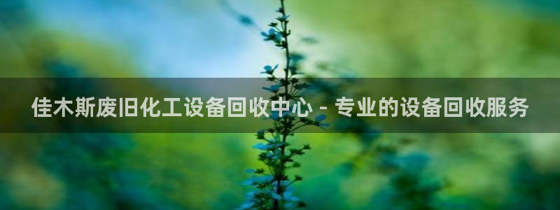门徒平台虎 411O31 门徒