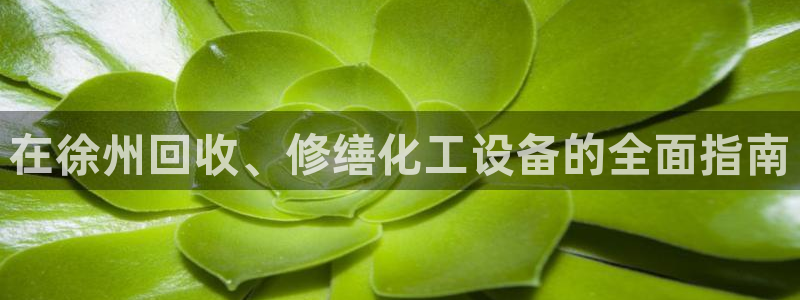 门徒平台注册登录站