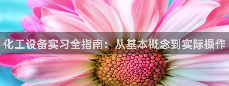 门徒娱乐平台登录1990官网下载