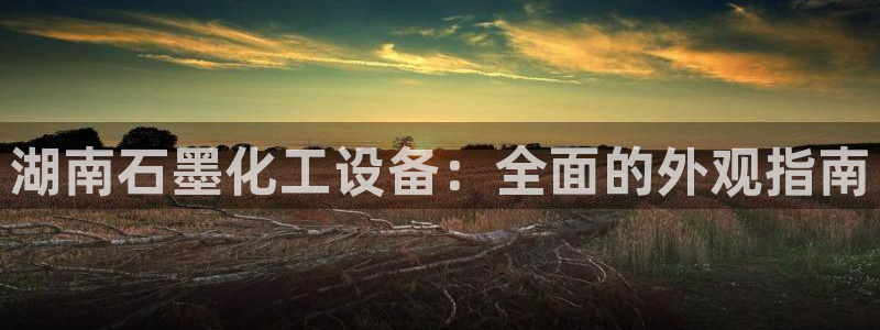 门徒娱乐平台登录地址