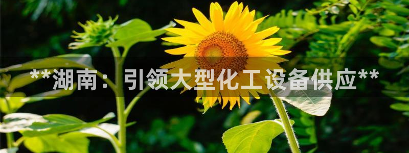 门徒娱乐好吗