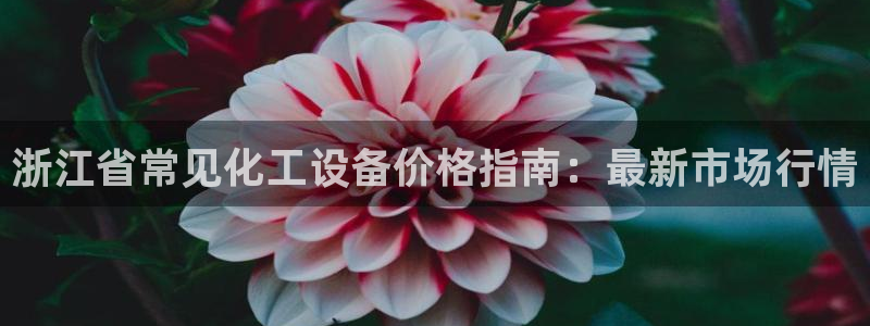 门徒平台合法吗
