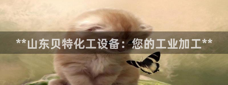 门徒娱乐登录地址在哪查询啊