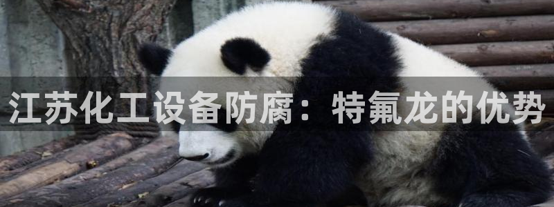 门徒娱乐的客服服务