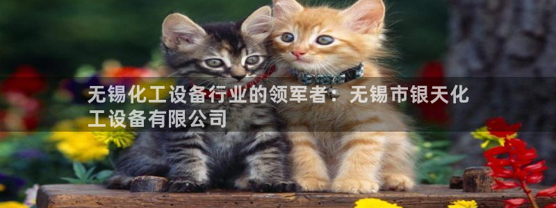 门徒平台还能用么