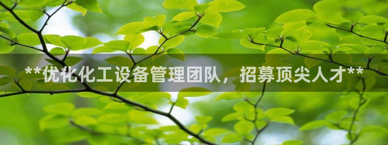 门徒娱乐项目