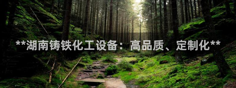 门徒平台注册中心官网查询