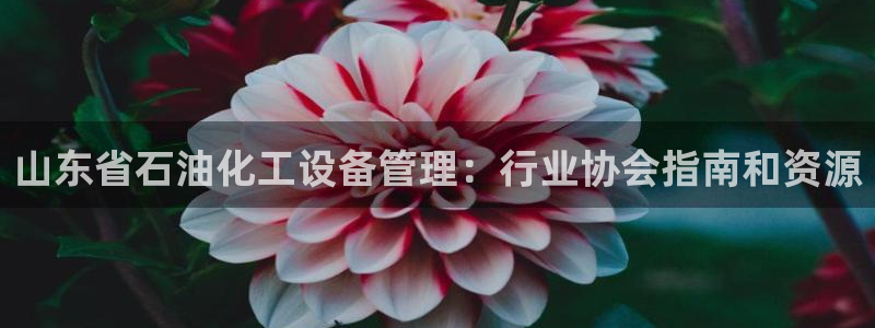 门徒娱乐是什么