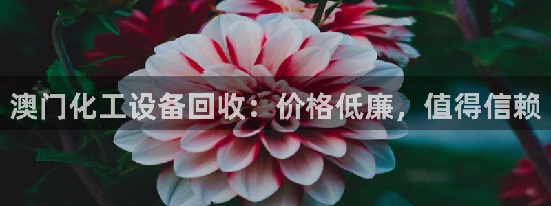 门徒平台管 5O6917 门徒