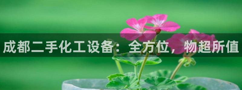 门徒平台登录注册账号