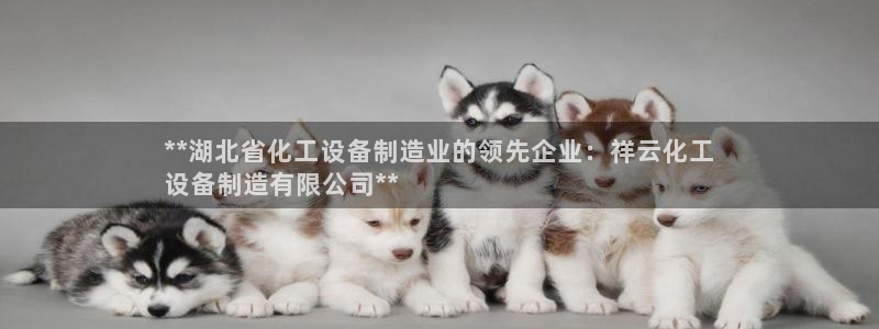 门徒娱乐注册下载