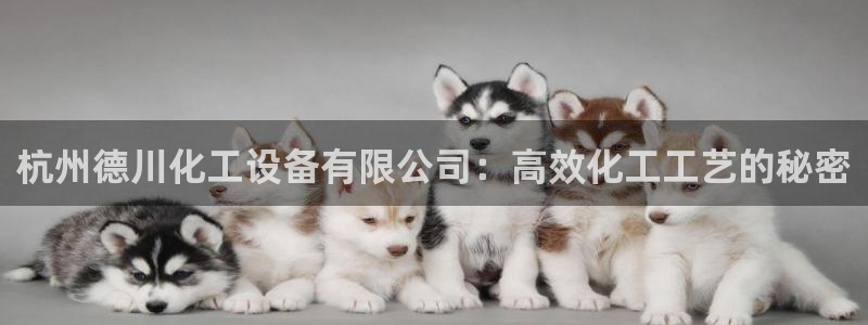 门徒平台商 411O31 门徒