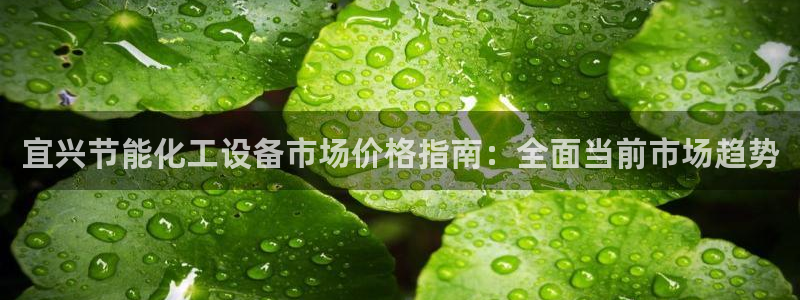 门徒平台登录