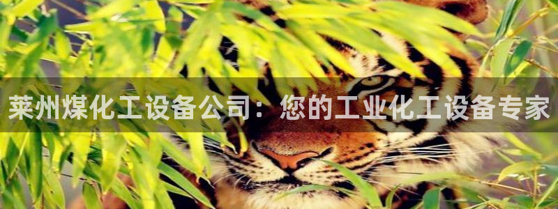 门徒平台家 5O6917 门徒