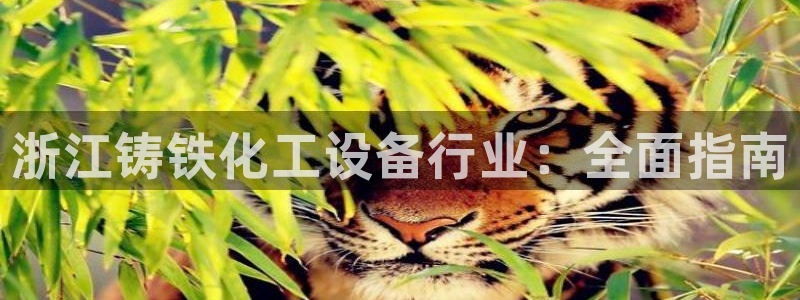 门徒娱乐属于什么系列