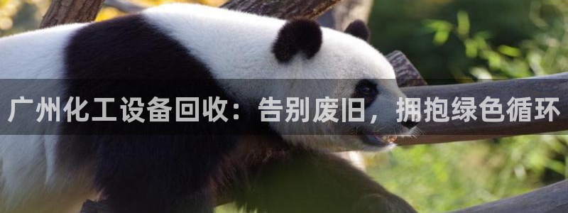 门徒平台官网首页