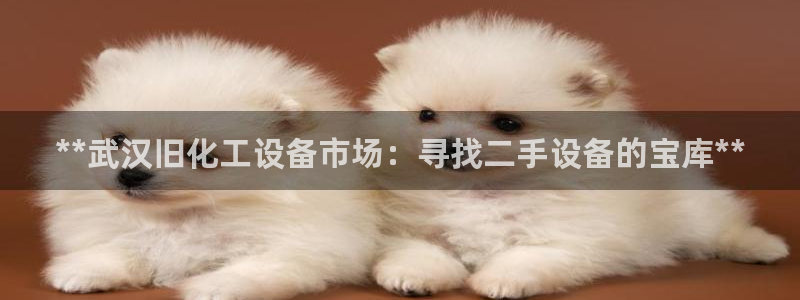 门徒娱乐平台下载安卓
