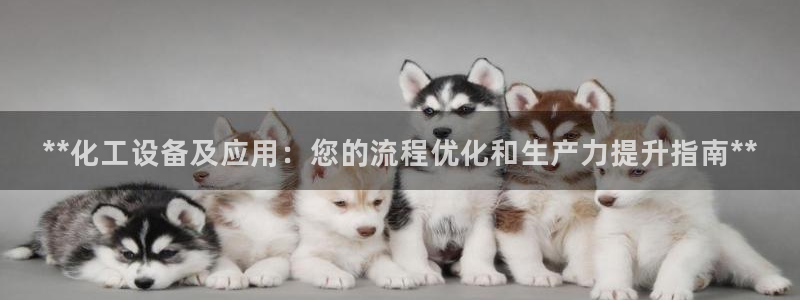 门徒平台测速网址大全