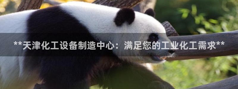 门徒平台地址