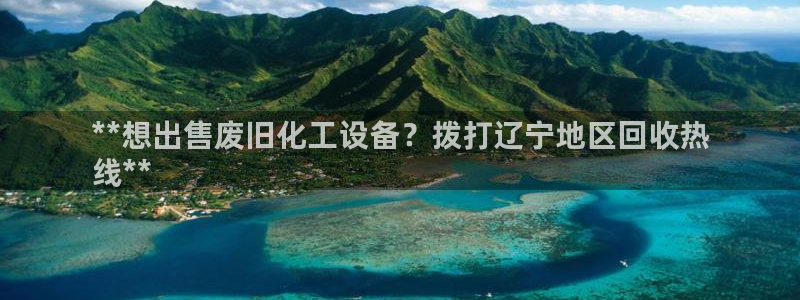门徒平台定制 411O31 门徒