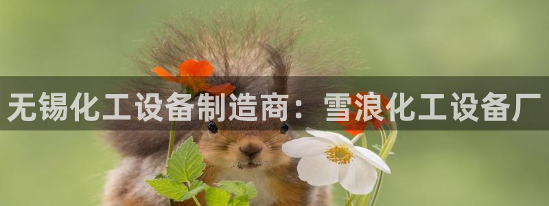 门徒娱乐登录地址在哪