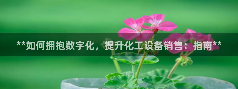 门徒平台开户
