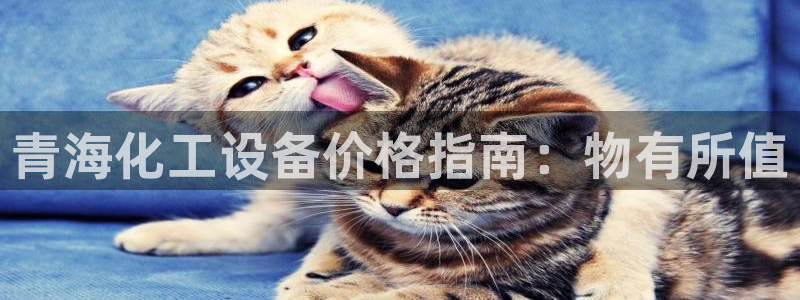 门徒娱乐平台代理怎么做