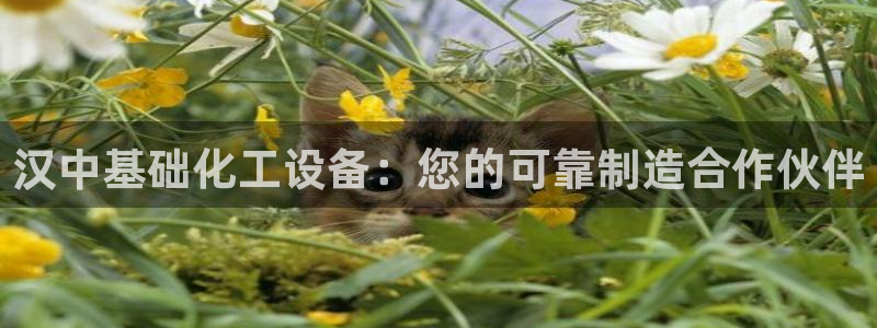 门徒平台注册登陆失败怎么回事