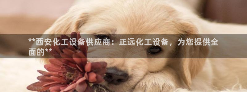 门徒娱乐公司介绍