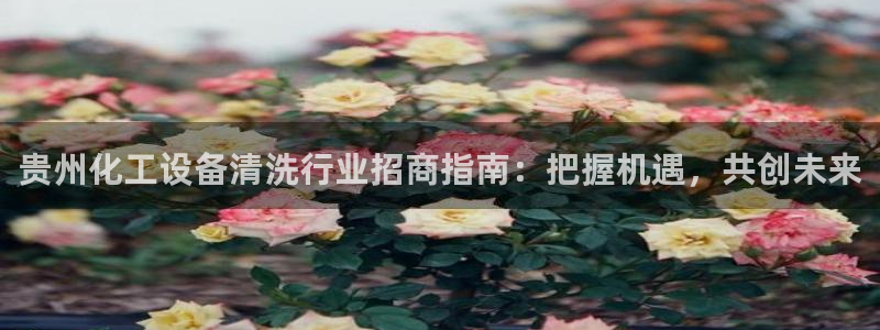 门徒娱乐注册登录地址