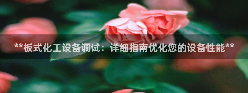 门徒平台上级