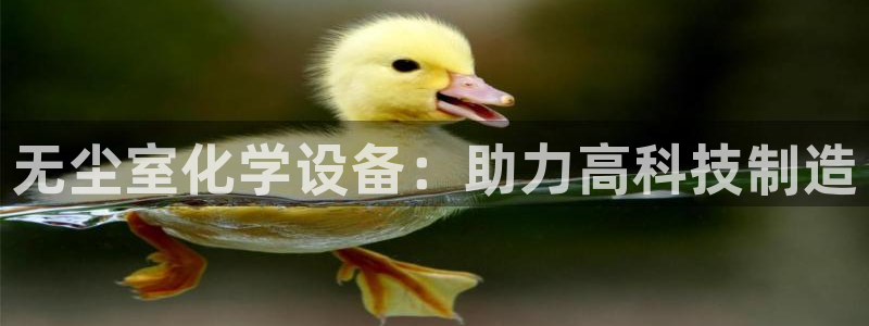 门徒娱乐是什么意思啊