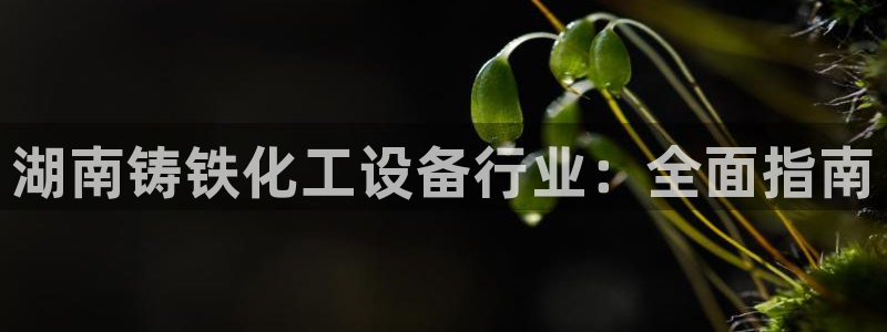 门徒娱乐平台登录地址在哪