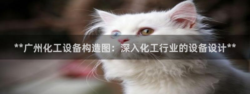 门徒平台民7O777