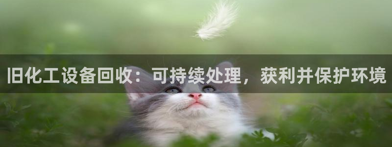 门徒平台注册登录站