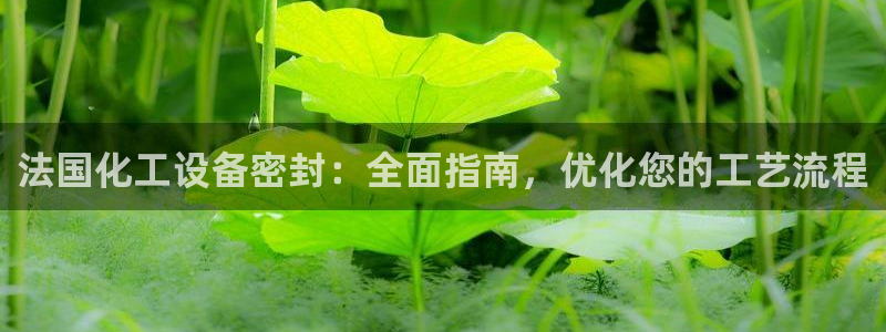 门徒平台怎么样才能赚钱