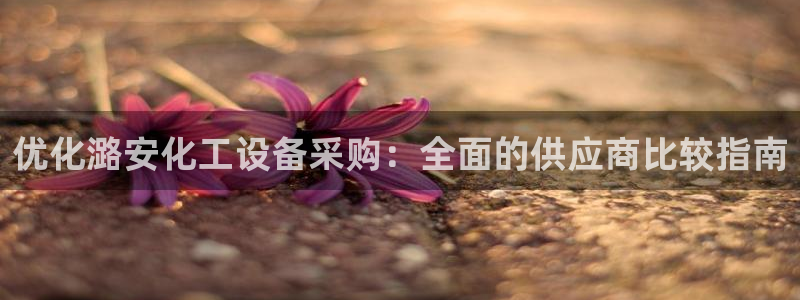 门徒平台注册登陆失败
