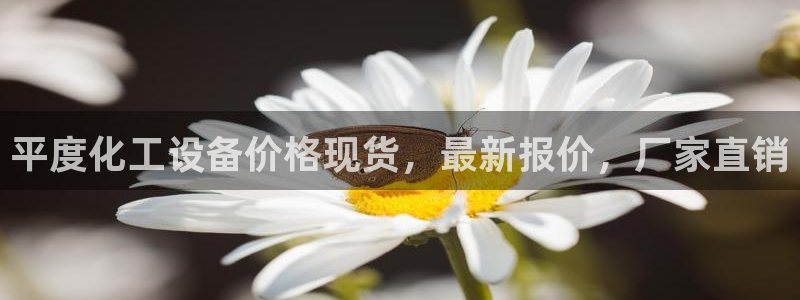 门徒平台理 411o31 门徒