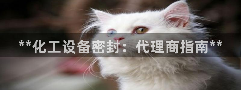 门徒平台官网首页