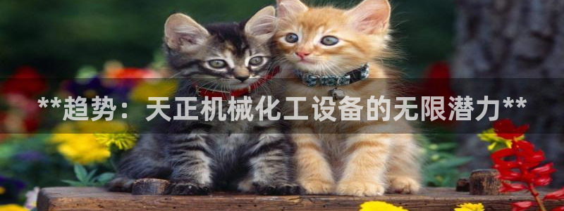 门徒娱乐怎么下载软件