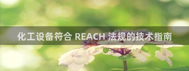 门徒娱乐项目介绍