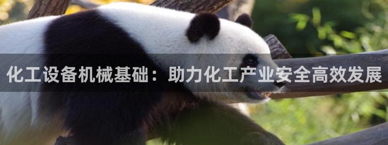 门徒娱乐公司介绍