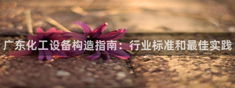 门徒平台是什么