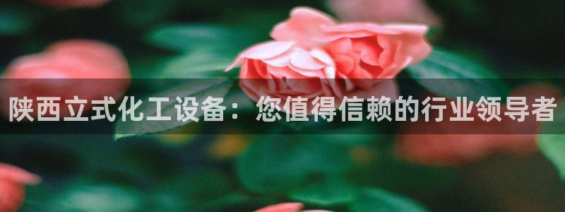 门徒平台会员注册流程