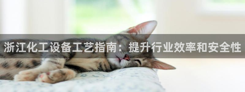 门徒平台测速网址大全