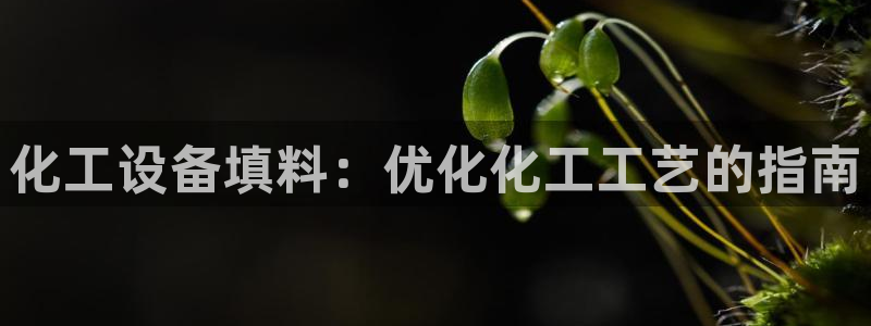 门徒娱乐创始人简介是谁