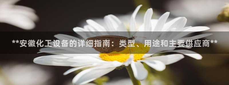 门徒平台注册官网入口
