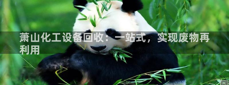 门徒平台开户流程